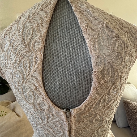 Pink Princess Style Lace Dress! - Picture 7 of 9